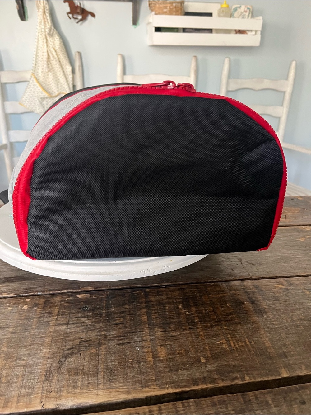 Disney Cruise Line Gray Cooler Pouch with Red Zipper - Picture 6 of 13